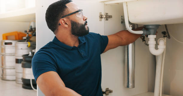  Chester, IL Plumbing services Pros